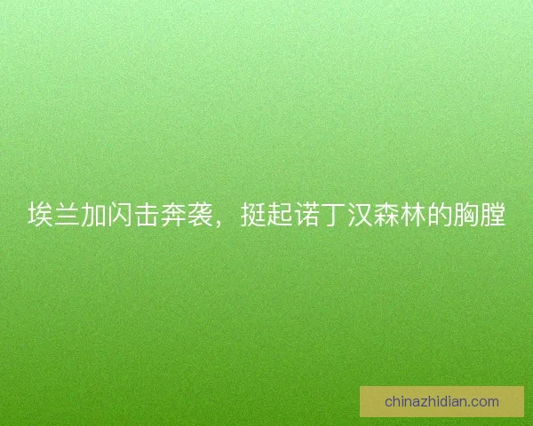 埃兰加闪击奔袭，挺起诺丁汉森林的胸膛